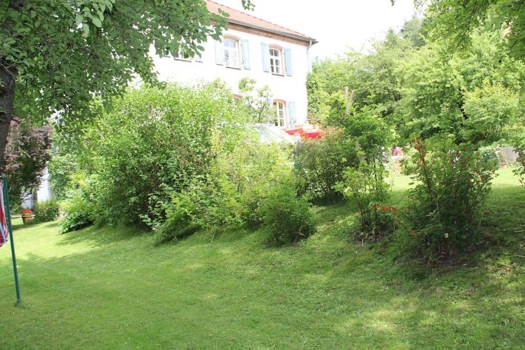 Haus Mit Geschichte In Maehring Daire Dış mekan fotoğraf